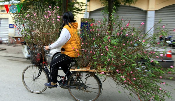 Hanoi the day before Year of Dragon - ảnh 2